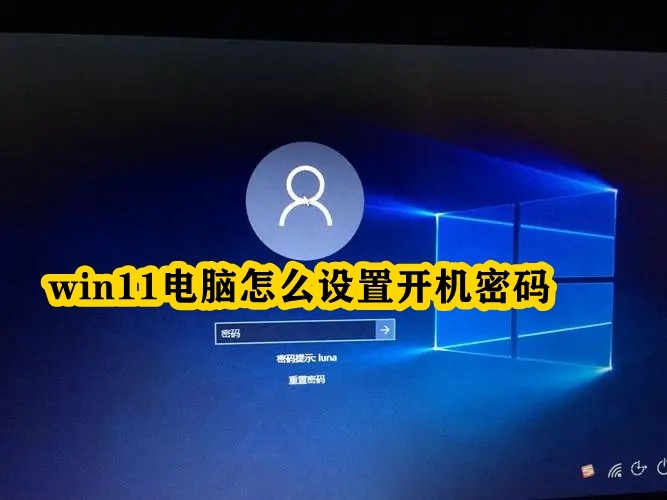 win11电脑怎么设置开机密码插图
