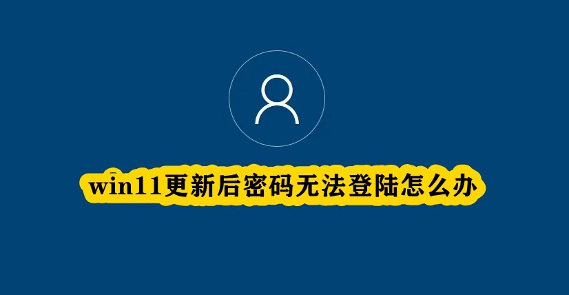 win11更新后密码无法登陆怎么办插图
