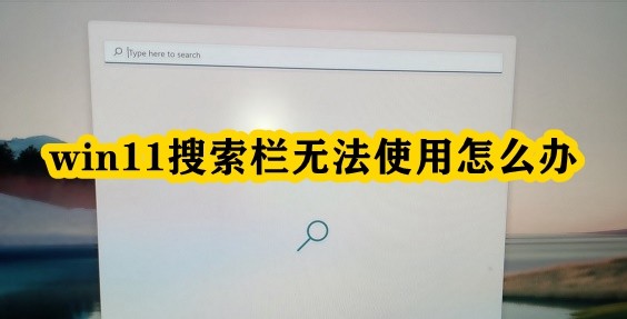 win11搜索栏无法使用怎么办插图