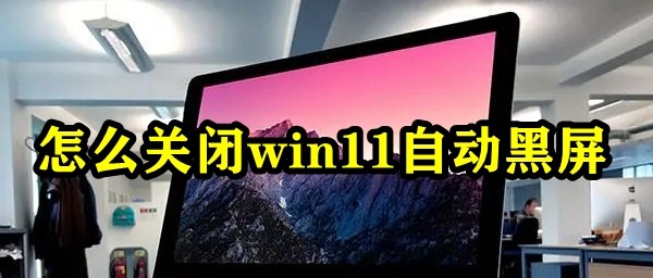 怎么关闭win11自动黑屏插图