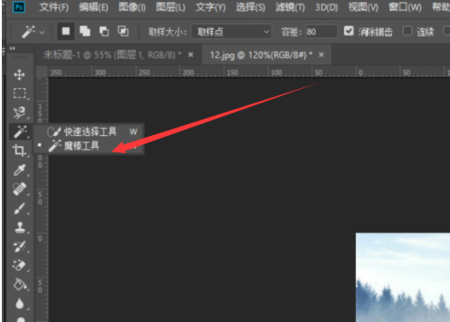 photoshop cc 2018如何使用魔棒工具？photoshop cc 2018使用魔棒工具的方法截图