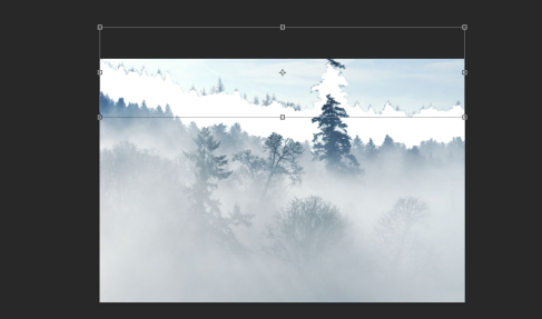 photoshop cc 2018如何使用魔棒工具？photoshop cc 2018使用魔棒工具的方法截图