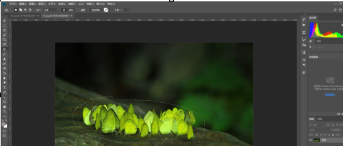 photoshop cc 2018怎么使用修补工具？photoshop cc 2018使用修补工具的方法截图