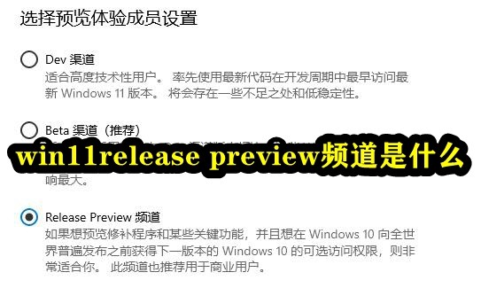 win11release preview频道是什么插图