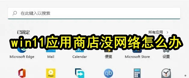 win11应用商店没网络怎么办插图