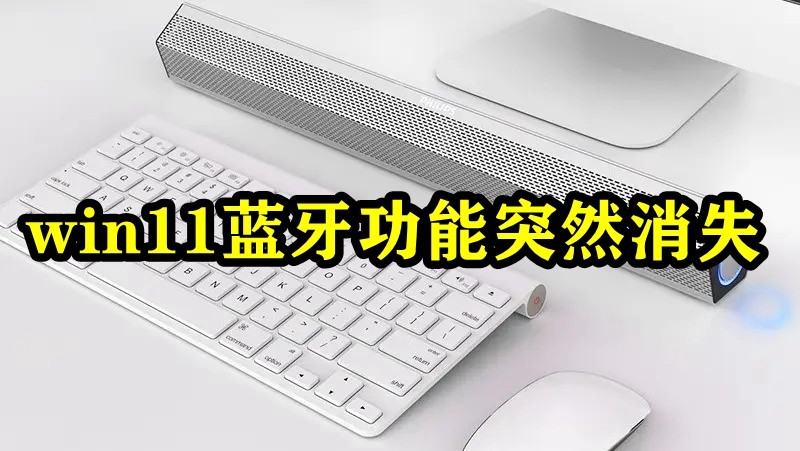 win11蓝牙功能突然消失插图