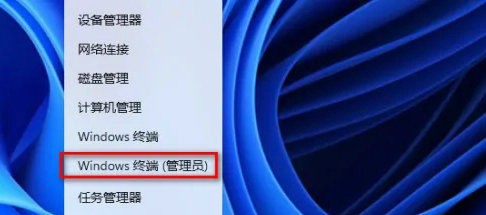 win11应用商店不见了插图1