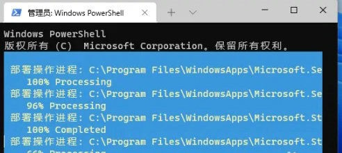 win11应用商店不见了插图3