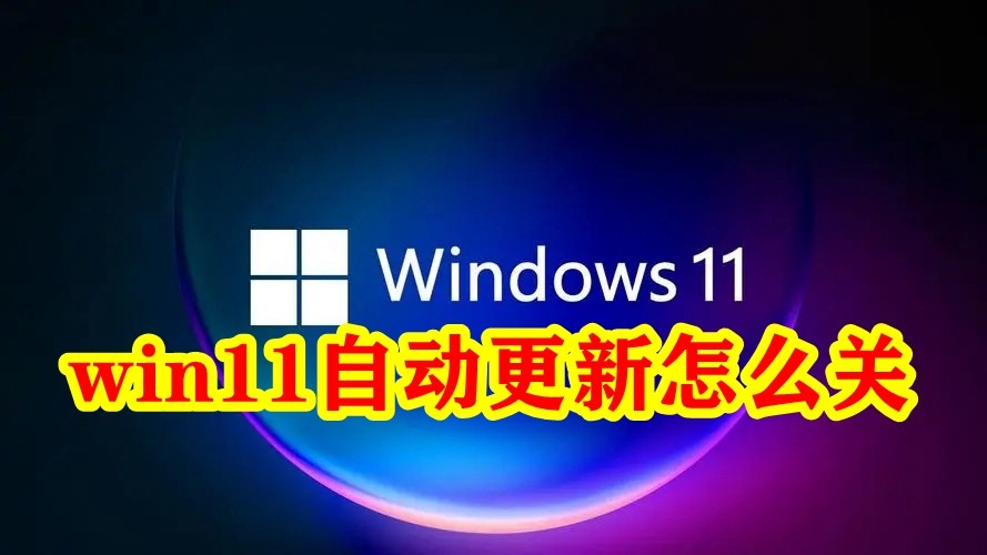 win11自动更新怎么关插图