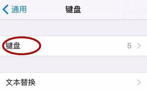 苹果设置输入法为默认输入法教程插图3