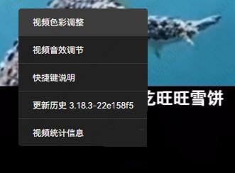 哔哩哔哩电脑版怎么调亮度？