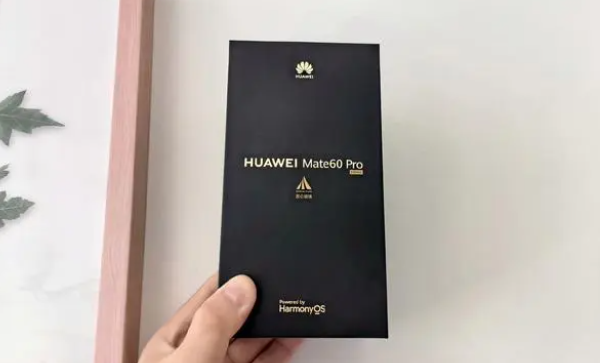 华为mate60pro支持5g网络吗插图1