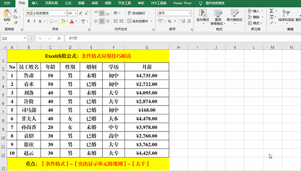 Excel 2019中使用条件格式分析数据的方法