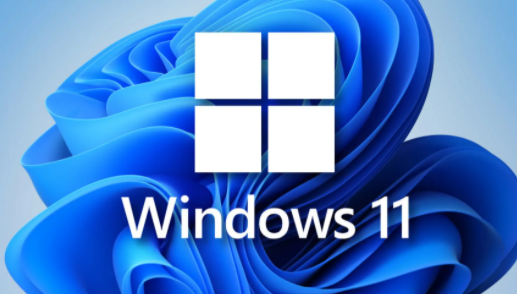 win11专业版永久激活密钥插图