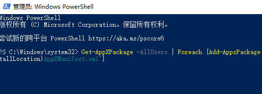 Win10系统应用商店打不开插图7