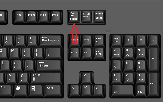 win11电脑怎么截图？win11电脑截图的4种操作方法
