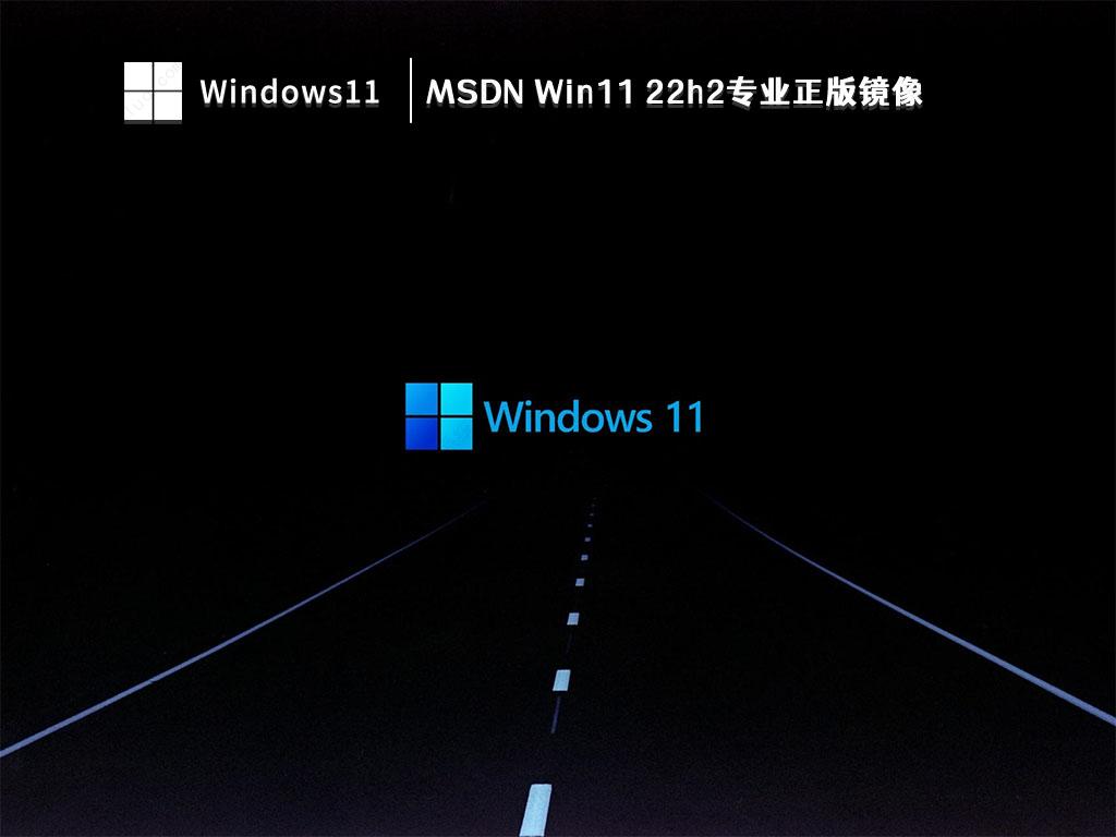 Win11正式版镜像下载_MSDN Win11 22h2专业正版镜像