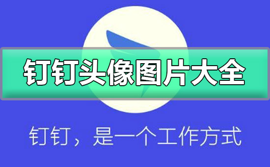 钉钉头像图片不同颜色分享-钉钉头像图片大全