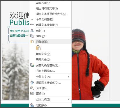 publisher怎么用
