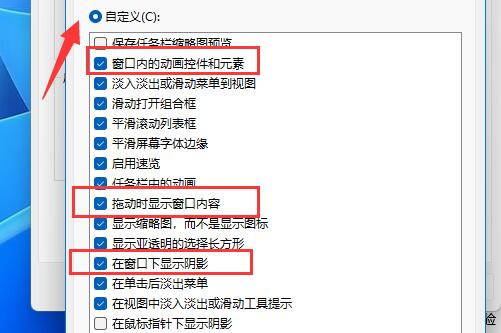 Win11如何设置窗口动画效果？Win11设置窗口动画效果的方法