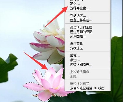 PS羽化为什么没反应？PS羽化用不了解决方法
