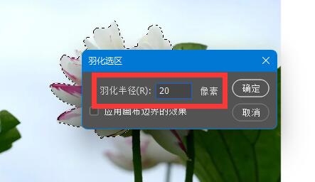 PS羽化为什么没反应？PS羽化用不了解决方法
