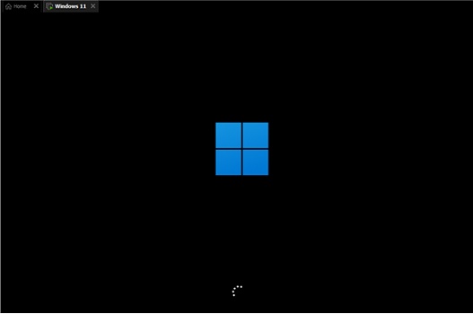 win11系统无法安装中文包语言包解决方法插图1