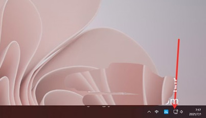 win11系统查看wifi密码教程插图