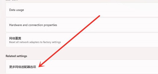 win11系统查看wifi密码教程插图2