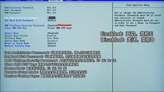 pro5代升级win11系统教程插图