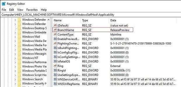 修改注册表安装win11的教程插图6