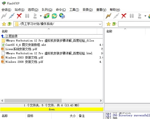 flashfxp中文乱码