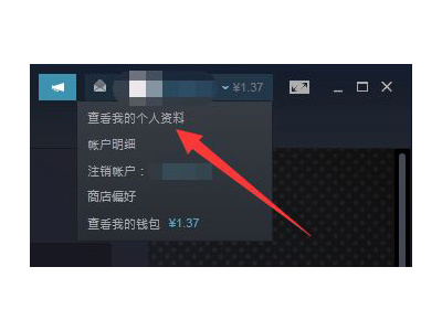 Steam交易链接如何查看？插图