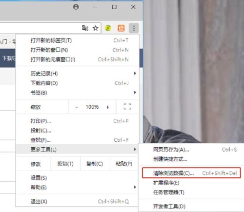 谷歌浏览器如何清除浏览器文本框候选项插图
