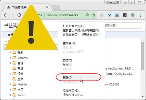 谷歌浏览器书签不见了怎么解决？插图