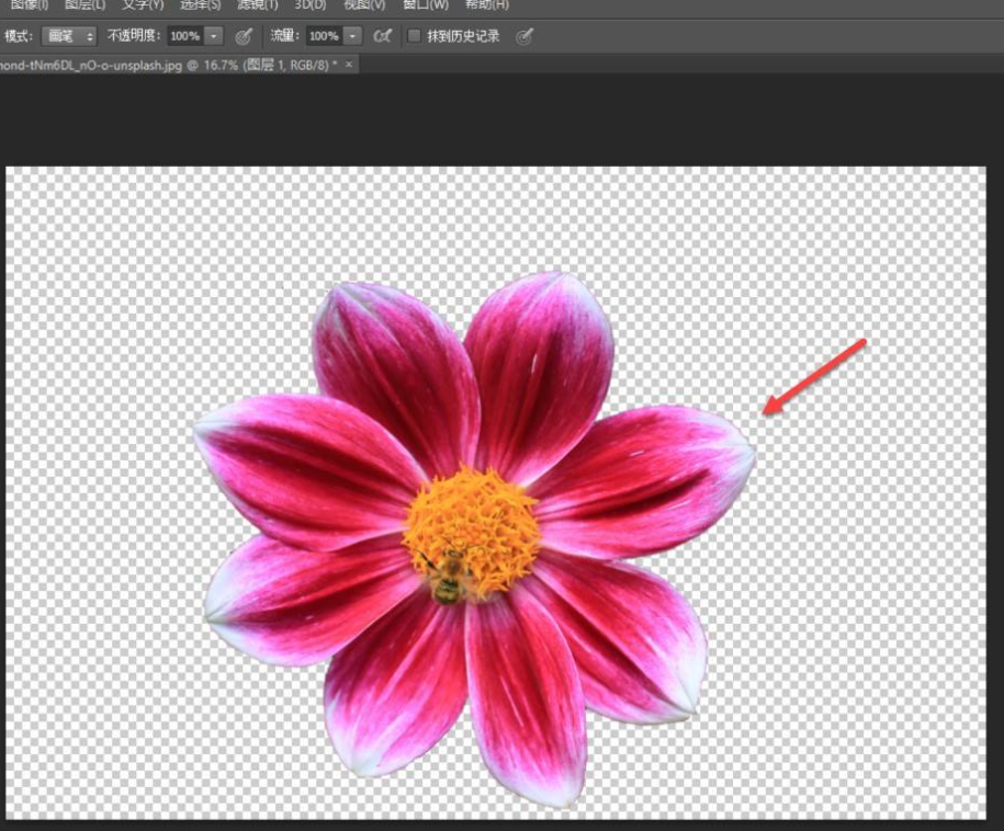ps抠图边缘痕迹太明显怎么办插图3 ps抠图边缘痕迹太明显怎么办插图3