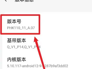 一加ace2开发者选项打开方法插图2