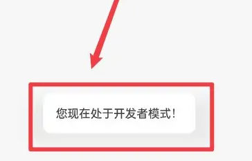 一加ace2开发者选项打开方法插图3