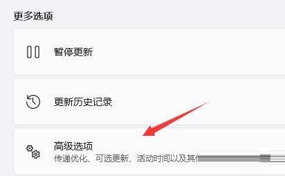 win11不能玩地平线4吗？win11怎么玩地平线4？