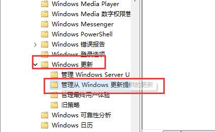 Win11系统禁止更新驱动教程插图3