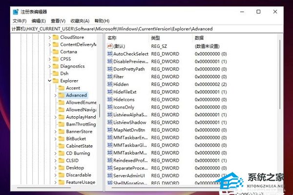 Win11系统任务栏大小无法调整怎么办插图1