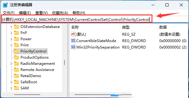 Win11文件复选框没有打开但还是会显示怎么办