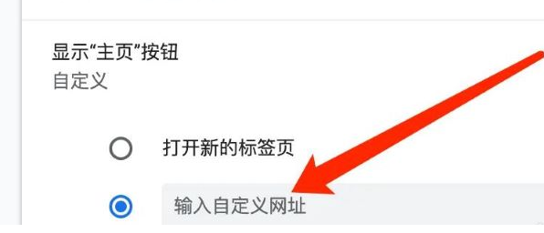 谷歌浏览器怎么自定义主页网址？谷歌浏览器自定义主页网址方法