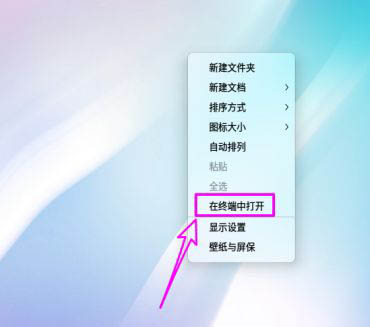 deepin20子网掩码在哪  deepin查看子网掩码的技巧插图1