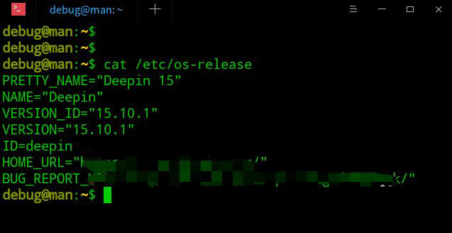 deepin系统版本号怎么看  deepin系统查看系统版本信息的技巧插图3