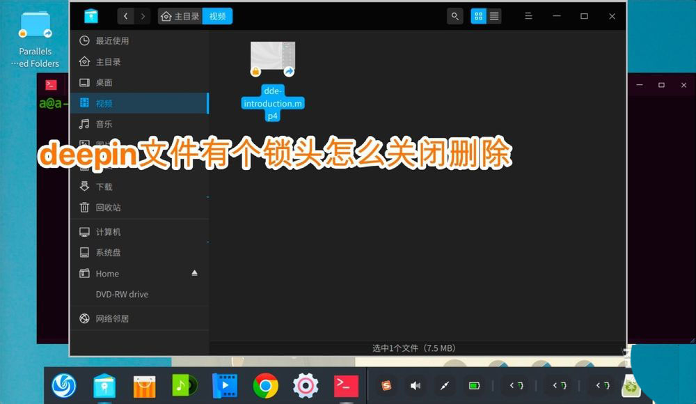 deepin文件有个锁头怎么删除  deepin删除带锁头文件的技巧插图