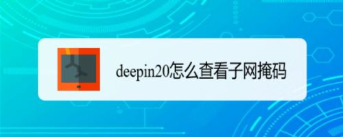 deepin20子网掩码在哪  deepin查看子网掩码的技巧插图