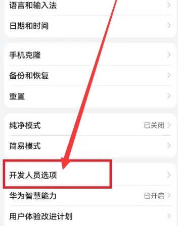 荣耀x50开发者选项在哪里打开插图5