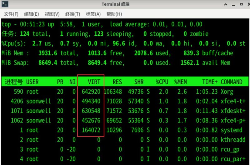 Debian11怎么查看虚拟内存使用情况  查看进程占用虚拟内存技巧插图