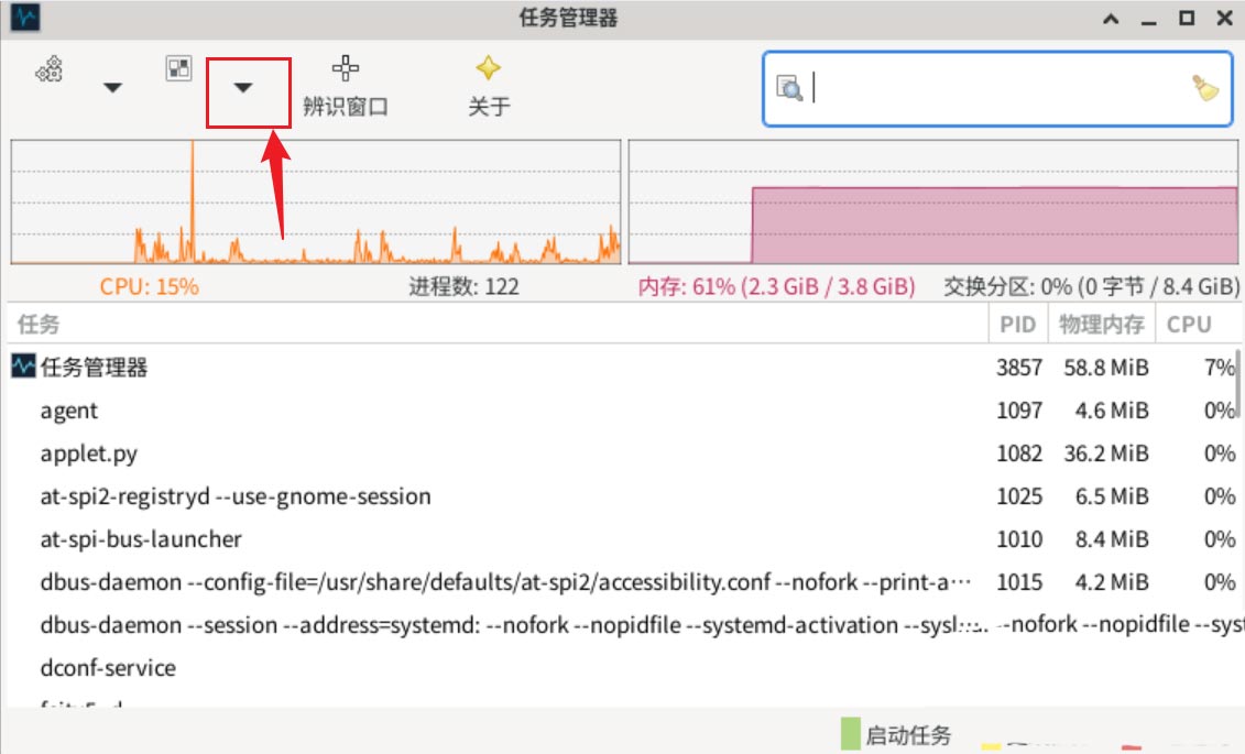 Debian11怎么查看虚拟内存使用情况  查看进程占用虚拟内存技巧插图2